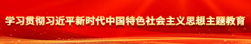 视频爱玩嫩屄学习贯彻习近平新时代中国特色社会主义思想主题教育