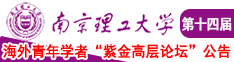 极品淫乱h视频南京理工大学第十四届海外青年学者紫金论坛诚邀海内外英才！